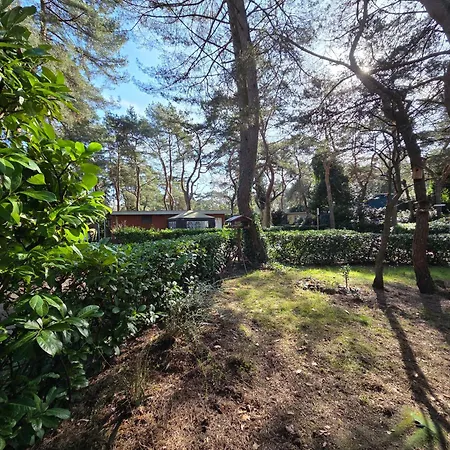 샬레 67 Met 3 Slaapkamers Op Gt Keiheuvel Balen